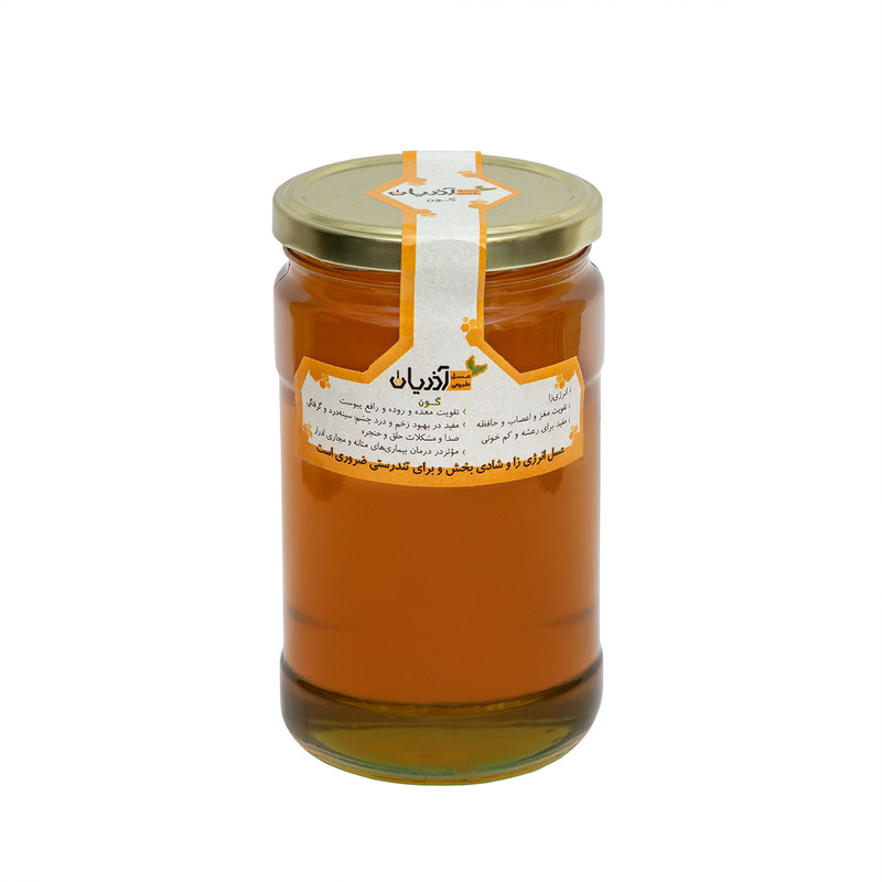 picture عسل طبیعی گون آذریان - 1000 گرم