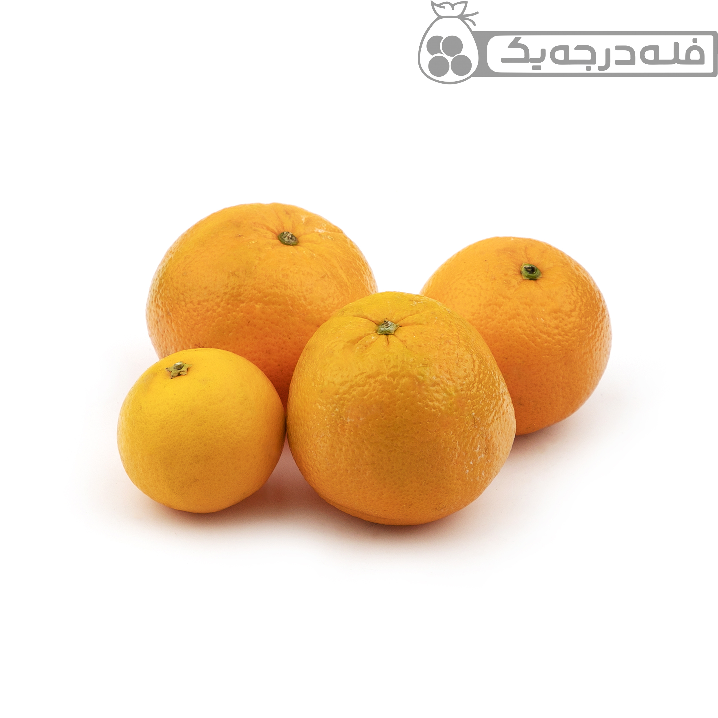 picture پرتقال تامسون شمال فله - 1 کیلوگرم