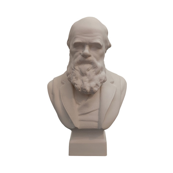 picture تندیس مدل چارلز داروین