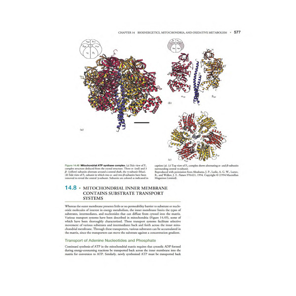 picture کتاب Devlin Biochemistry اثر Thomas Devlin انتشارات John Wiley and Sons